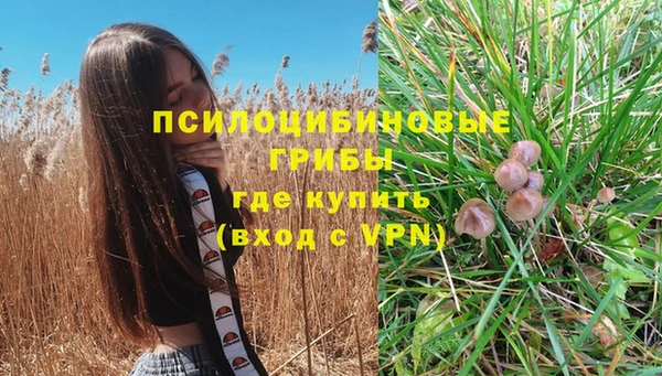 таблы Алексеевка