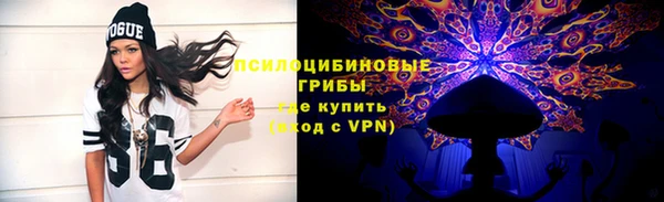 таблы Алексеевка