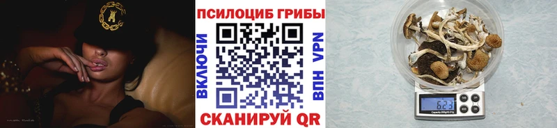 Псилоцибиновые грибы GOLDEN TEACHER  Краснотурьинск 